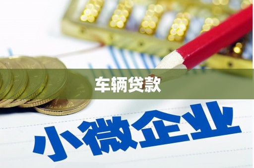安岳车辆贷款