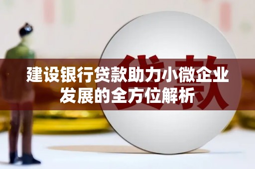 安岳建设银行贷款助力小微企业发展的全方位解析