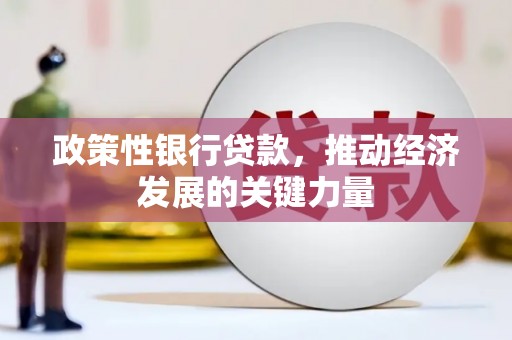 安岳政策性银行贷款，推动经济发展的关键力量
