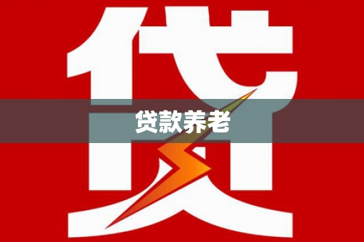 安岳贷款养老