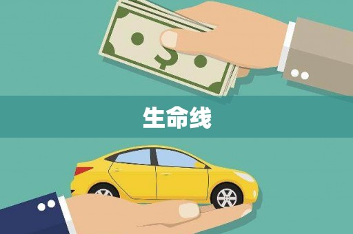 安岳生命线