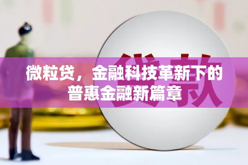 安岳微粒贷，金融科技革新下的普惠金融新篇章