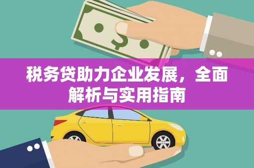 安岳税务贷助力企业发展，全面解析与实用指南