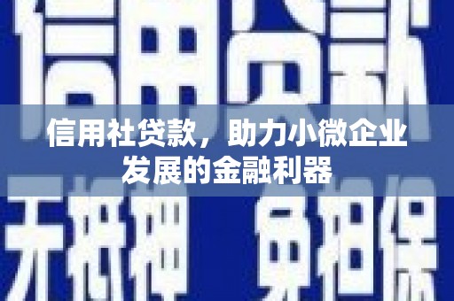 安岳信用社贷款，助力小微企业发展的金融利器