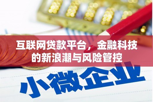 安岳互联网贷款平台，金融科技的新浪潮与风险管控