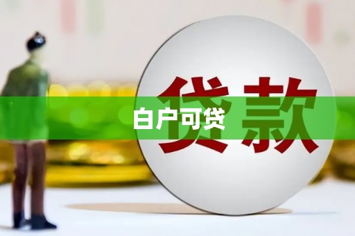 安岳白户可贷