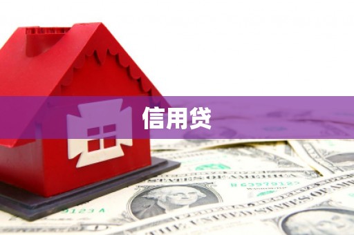 安岳信用贷