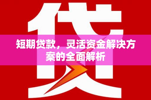 安岳短期贷款，灵活资金解决方案的全面解析