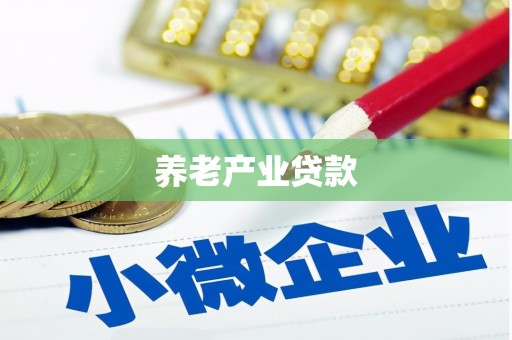 安岳养老产业贷款