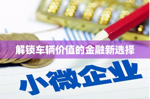 安岳解锁车辆价值的金融新选择