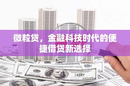 安岳微粒贷，金融科技时代的便捷借贷新选择