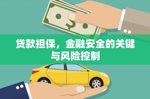 安岳贷款担保，金融安全的关键与风险控制
