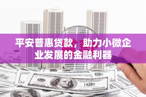 安岳平安普惠贷款，助力小微企业发展的金融利器