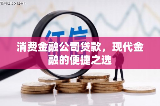 安岳消费金融公司贷款，现代金融的便捷之选