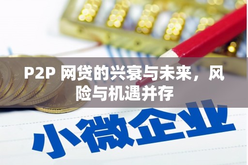 安岳P2P 网贷的兴衰与未来，风险与机遇并存