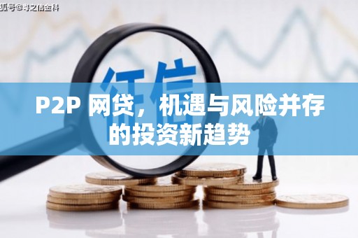 安岳P2P 网贷，机遇与风险并存的投资新趋势