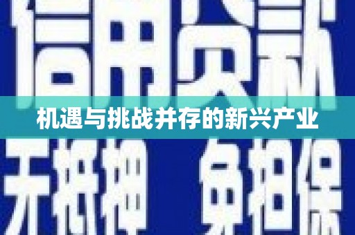 安岳机遇与挑战并存的新兴产业