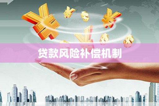 安岳贷款风险补偿机制