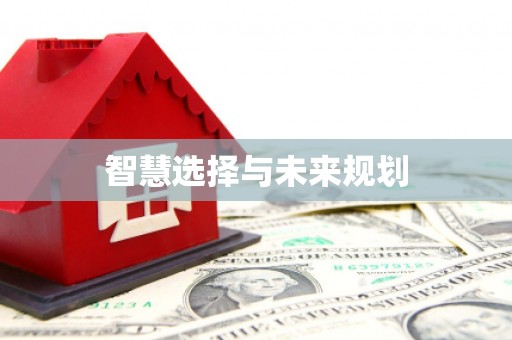 安岳智慧选择与未来规划