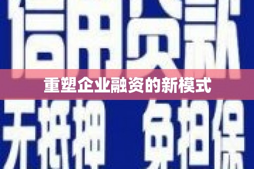 安岳重塑企业融资的新模式
