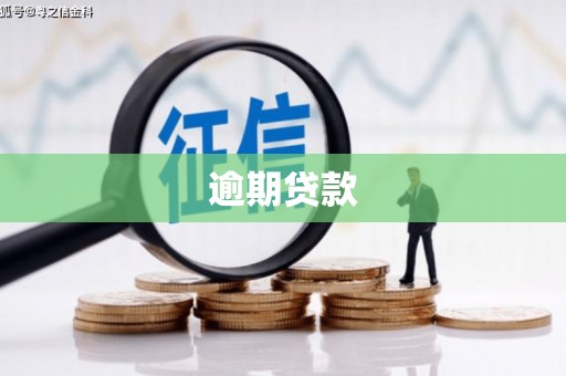 安岳逾期贷款