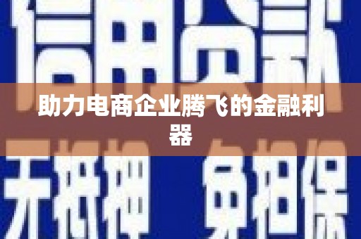 安岳助力电商企业腾飞的金融利器