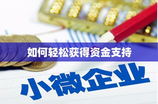 安岳如何轻松获得资金支持