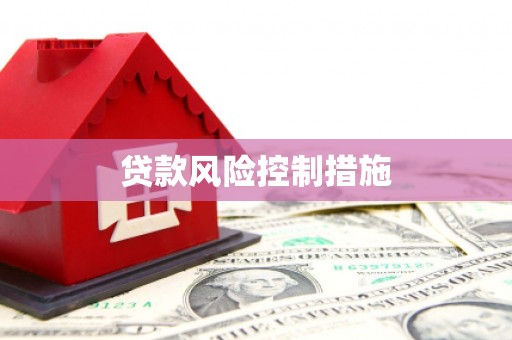 安岳贷款风险控制措施