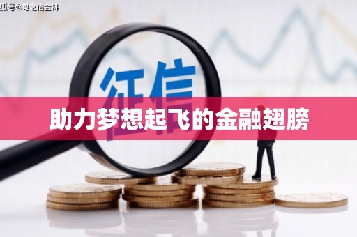 安岳助力梦想起飞的金融翅膀