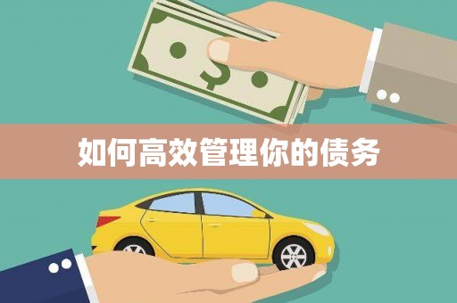 安岳如何高效管理你的债务