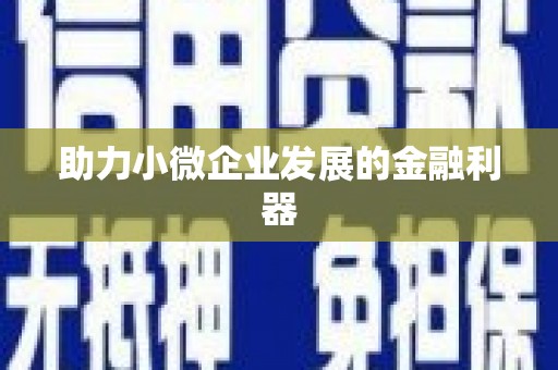 安岳助力小微企业发展的金融利器