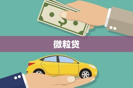 安岳微粒贷