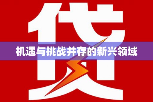 安岳机遇与挑战并存的新兴领域
