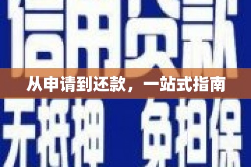 安岳从申请到还款，一站式指南