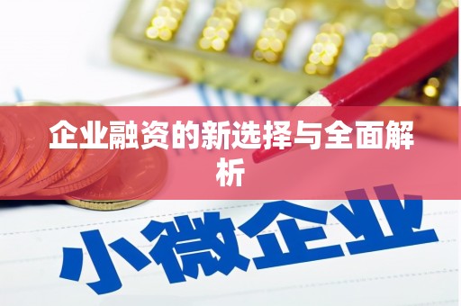 安岳企业融资的新选择与全面解析