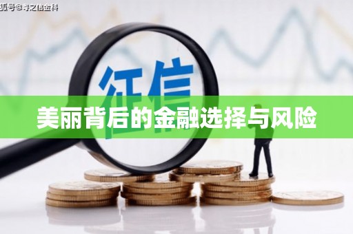 安岳美丽背后的金融选择与风险