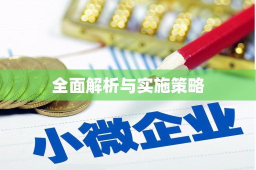 安岳全面解析与实施策略