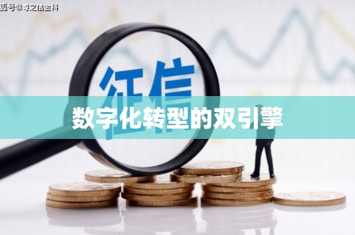 安岳数字化转型的双引擎