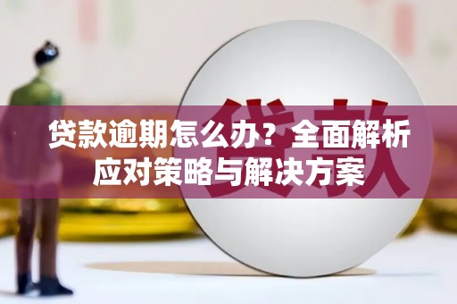 安岳贷款逾期怎么办？全面解析应对策略与解决方案