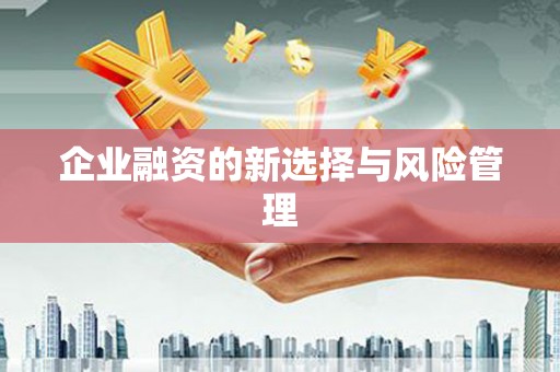 安岳企业融资的新选择与风险管理