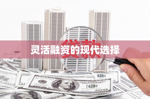 安岳灵活融资的现代选择