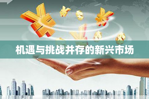安岳机遇与挑战并存的新兴市场