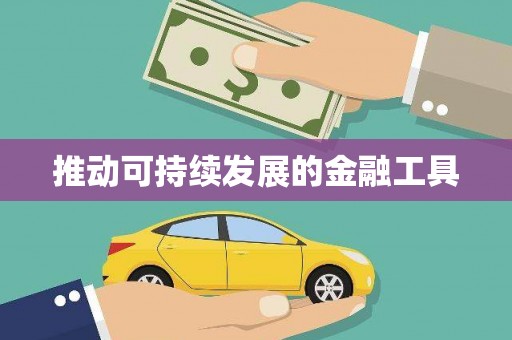 安岳推动可持续发展的金融工具