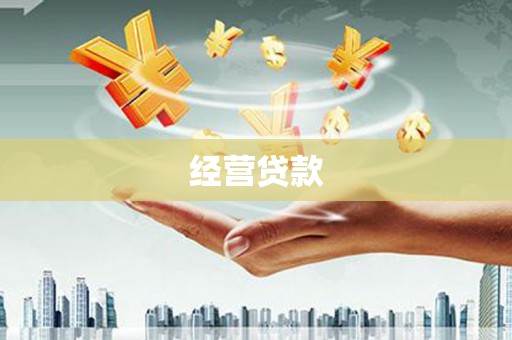 安岳经营贷款