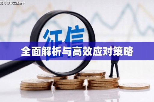 安岳全面解析与高效应对策略